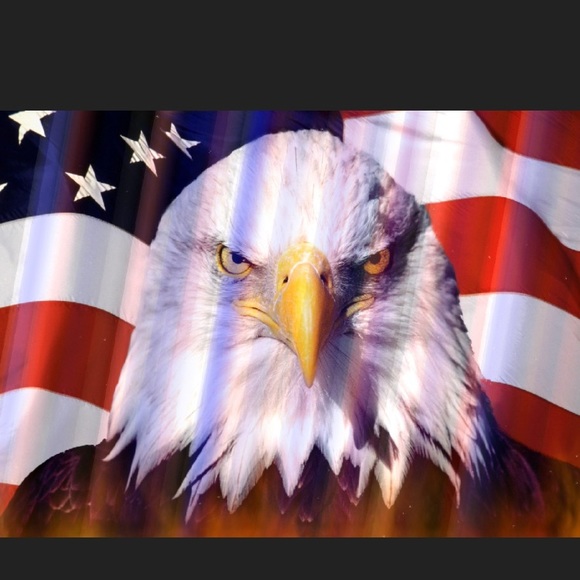 🇺🇸🇺🇸🇺🇸🇺🇸🇺🇸🇺🇸 - Picture 5 of 6